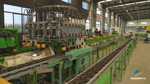 Първият форум за услуги за стандартизация на произхода на плодове