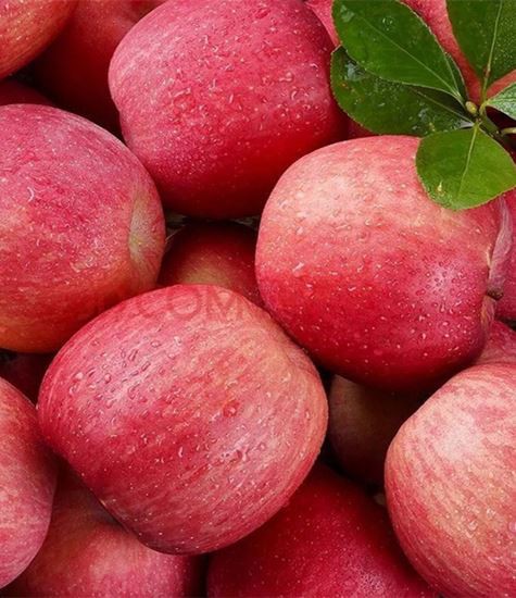 Всички видове ябълки