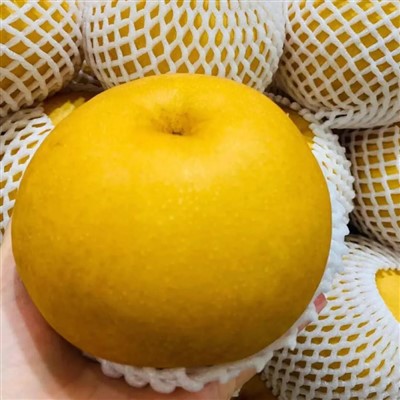 Диви ароматни крушови плодове